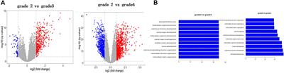 The Proliferation of Glioblastoma Is Contributed to Kinesin Family Member 18A and Medical Data Analysis of GBM